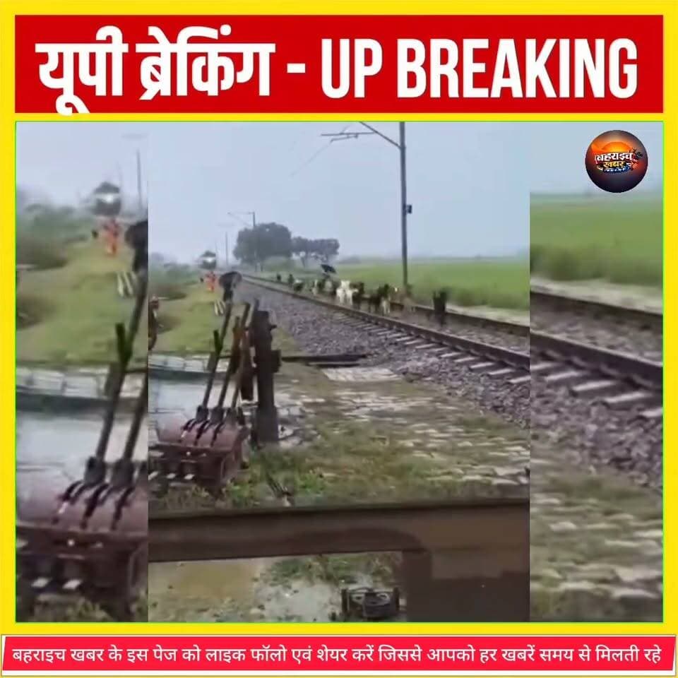 दुःखद रेल पटरी के बीच दौड़ रही बकरियों की ट्रेन की चपेट में आने से मौत