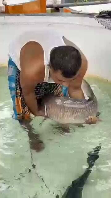 😱 मछलियों की Breeding कैसे होती है? | Complete Fish Breeding Process 🐟