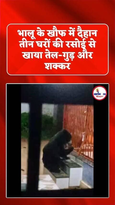 बालोद। जिले के ग्राम दैहान में पिछले तीन दिनों से भालू की लगातार आवाजाही से ग्रामीणों में दहशत का माहौल है। ग्रामीणों के अनुसार सोमवार से भालू गांव के आसपास मंडरा रहा है। शुक्रवार सुबह करीब 4 बजे भालू को हनुमान मंदिर के पास देखा गया, जिसके बाद ग्रामीणों में भय और बढ़ गया।
ग्रामीण पुकेश्वर बघेल ने बताया कि भालू गांव के तीन घरों में घुस चुका है। इन घरों की रसोई में रखे तेल, गुड़ और शक्कर को भालू खा चुका है। लगातार रिहायशी इलाके में भालू के पहुंचने से ग्रामीणों को घर से बाहर निकलने में भी डर लग रहा है।
ग्रामीणों ने मामले की सूचना वन विभाग बालोद को दे दी है। ग्रामीणों ने वन विभाग से गांव में पहुंचकर भालू की निगरानी और उसे सुरक्षित तरीके से जंगल की ओर खदेड़ने की कार्रवाई करने की मांग की है। फिलहाल भालू की मौजूदगी को लेकर गांव में दहशत का माहौल बना हुआ है।
#wildlifephotography #animals #village #trending #cg