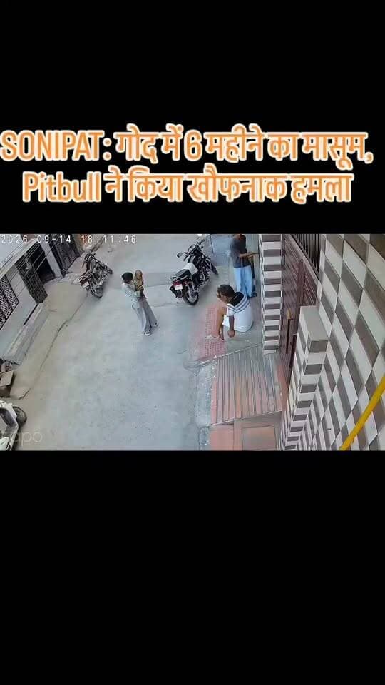 🚨 सोनीपत में Pitbull Attack, गोद में 6 महीने के मासूम पर हमला हरियाणा के सोनीपत की सिक्का कॉलोनी में गली से गुजर रही एक महिला और उसकी गोद में मौजूद 6 महीने के भतीजे पर पड़ोसी के पिटबुल ने अचानक हमला कर दिया। बताया जा रहा है कि कुत्ते ने बच्चे को मुंह में दबोचकर करीब 30 सेकंड तक हमला किया। घटना में मासूम के चेहरे और पेट पर गंभीर घाव आए हैं। बच्चे का दिल्ली में पेट का ऑपरेशन किया गया और 20 टांके लगाए गए। इसके बाद गंभीर हालत को देखते हुए उसे रोहतक के PGIMS रेफर किया गया है। #Sonipat #PitbullAttack #DogAttack #Haryana #Breaking