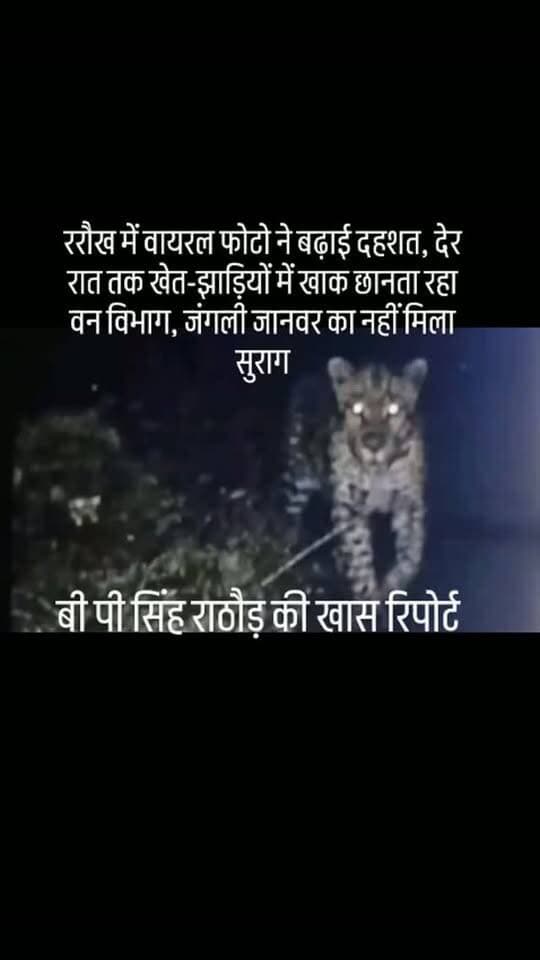 #ररौख में वायरल फोटो ने बढ़ाई दहशत, देर रात तक खेत-झाड़ियों में खाक छानता रहा वन विभाग, जंगली जानवर का नहीं मिला सुराग