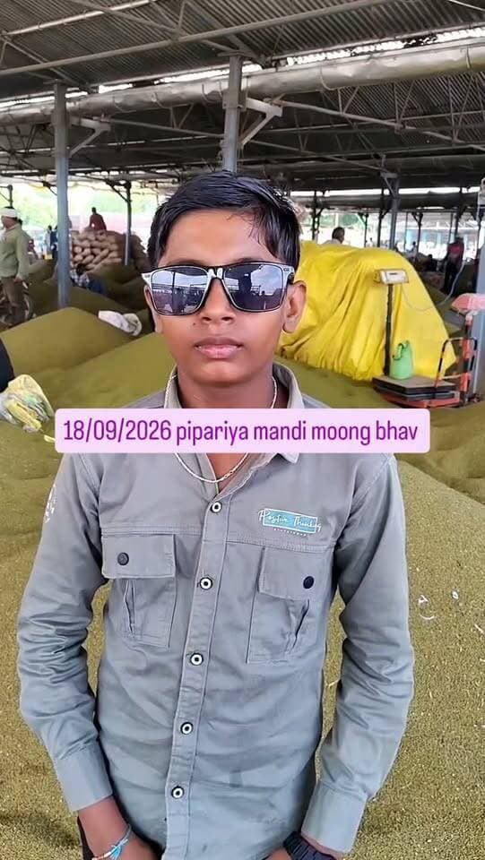 Pipariya mandi 18/09/2026 #viral #india #mandi #moong