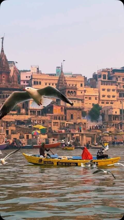बनारस -एक -इश्क़ ❤️🥰
|| @varanasi_banaras_kashi ||
