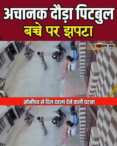 गोद में मासूम, सामने खूंखार पिटबुल!
6 महीने के बच्चे पर पिटबुल का हमला