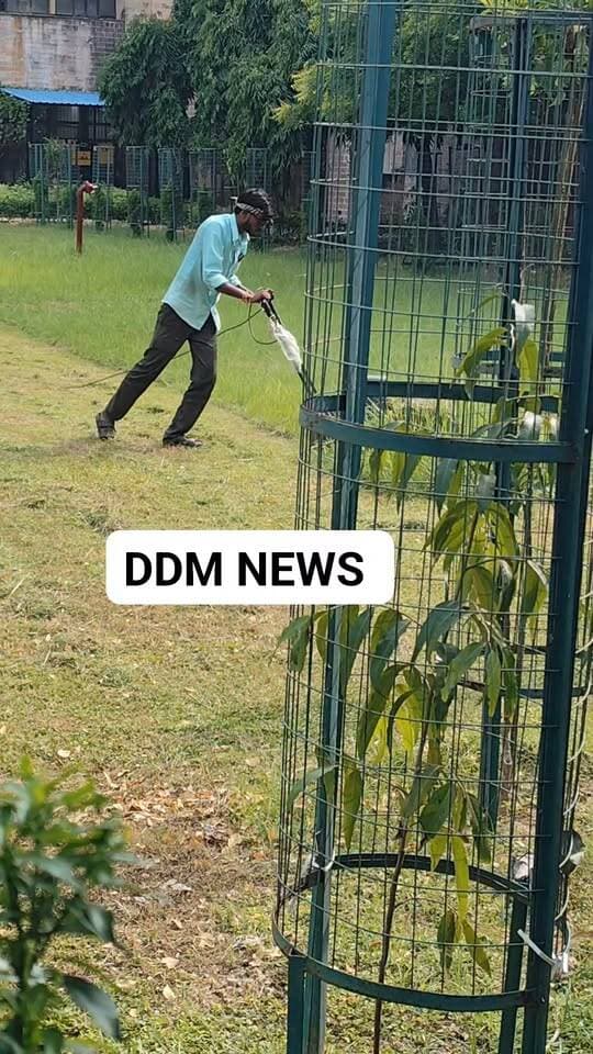घास की कटाई करते लाइव वीडियो आया सामने