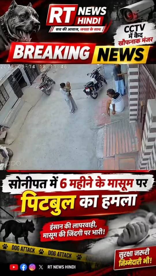 🚨 सोनीपत में 6 महीने के मासूम पर पिटबुल का हमला, CCTV में कैद घटना
हरियाणा के सोनीपत की सिक्का कॉलोनी में पालतू पिटबुल ने 6 महीने के मासूम बच्चे पर अचानक हमला कर दिया। CCTV में कुत्ता बच्चे को पकड़कर घसीटता हुआ नजर आ रहा है।
बच्चे को चेहरे, पेट, हाथ-पैर समेत शरीर के कई हिस्सों में गंभीर चोटें आई हैं। रिपोर्ट के मुताबिक पेट में करीब 20 टांके लगाए गए हैं।
बच्चे को इलाज के लिए PGIMS रोहतक ले जाया गया, जहां उसका उपचार जारी है। बच्चे को बचाने पहुंची उसकी बुआ भी हमले में घायल हुई हैं।
घटना के बाद पालतू कुत्तों की सुरक्षा और उनके मालिकों की जिम्मेदारी को लेकर सवाल उठ रहे हैं।
#Sonipat #Haryana #PitbullAttack #DogAttack #CCTV ChildSafety RTNews