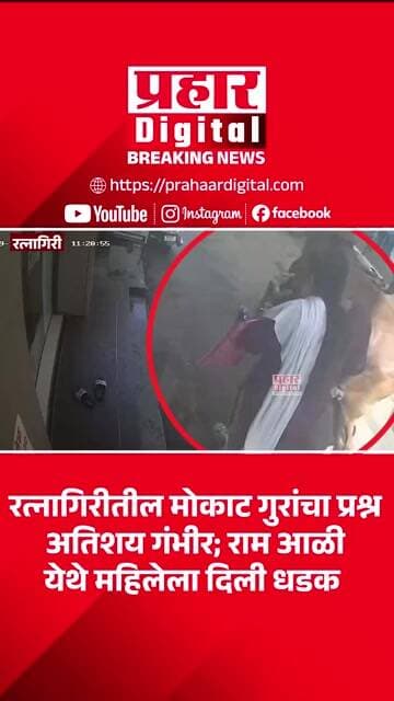 रत्नागिरीतील मोकाट गुरांचा प्रश्न अतिशय गंभीर; राम आळी येथे महिलेला दिली धडक