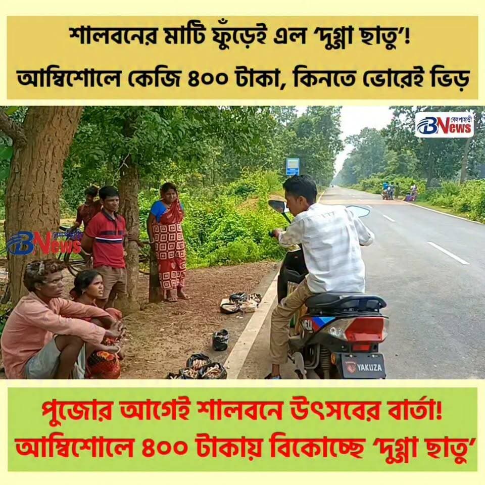 শালবনের মাটি ফুঁড়েই এল ‘দুগ্গা ছাতু’! আম্বিশোলে কেজি ৪০০ টাকা, কিনতে ভোরেই ভিড়
#DuggaChatu #Ambishole #Jangalmahal #BelpahariNews #gopiballvpur