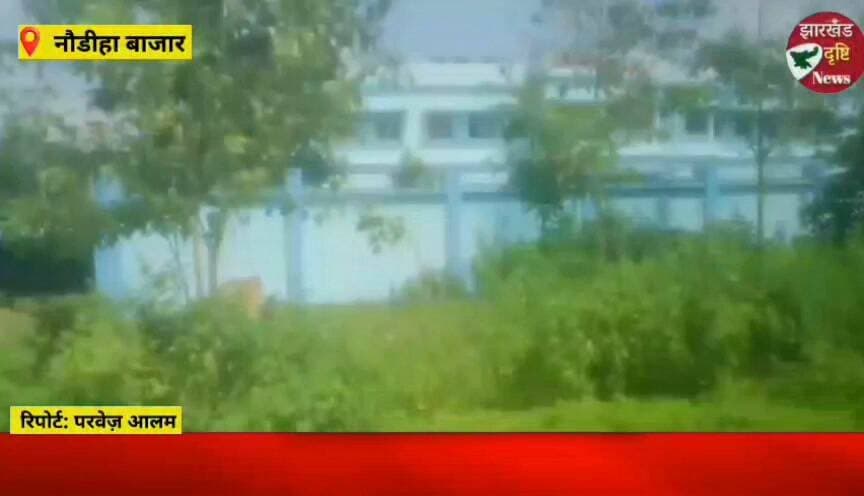 नौडीहा बाजार में 70 हजार से अधिक आबादी, स्वास्थ्य केंद्र में एक भी डॉक्टर की मुकम्मल प्रतिनियुक्ति नहीं....। झारखंड दृष्टि न्यूज