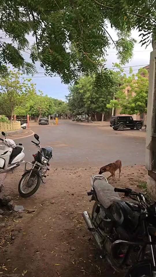 अचानक मौसम बदला।