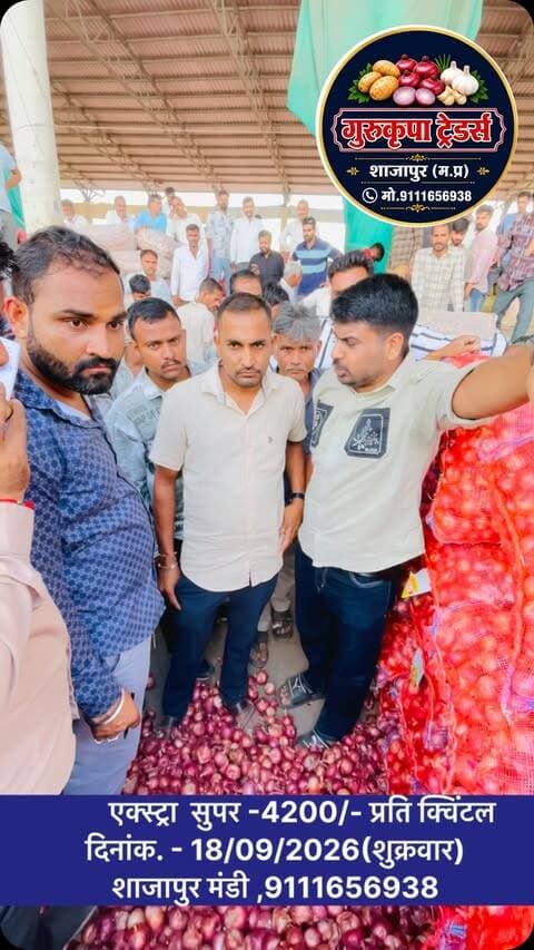 #indoremandibhav#shajapurmandi#aajkabhav