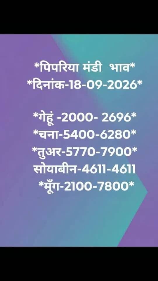 18/09/2026 pipariya mandi #foryou #mandi #bhav