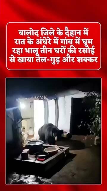 घरो में घुसकर शक्कर,तेल, गुड़ खा रहा भालू,गांव में दहसत का माहौल#beer#wildanimals#fear#animals#news