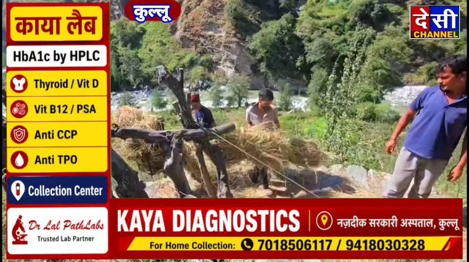 #kullu पार्वती घाटी के युवा मंडल शारनी के युवक बेजुबानों की सेवा में आए आगे,
गौधन के लिए घास की जीप की दान, गौ सेवा रक्षादल के अध्यक्ष शेरा नेगी ने युवकों का जताया आभार।
देसी चैनल कुल्लू
धाम की तैयारी कर रहे बहुत से गौ सेवकों का सहयोग प्राप्त हुआ शारनी से युवक मंडल प्रधान तीर्थ राम महंत उप प्रधान चिराग भला राजेश महन्त अंकुश महंत देश राज ठाकुर नेपाल से विकास थापा पूर्ण थापा कमलेश ठाकुर अजय शर्मा दिनेश ठाकुर विपिन शर्मा टिकम राम छापे राम नेगी चुनी महंत पिंकू भण्डारी हुक्म राम सतीश राणा अमर नाथ भण्डारी अमर ठाकुर अजय अमन बोनी सोनी भूपेंद्र ठाकुर अमन ठाकुर चन्द्र ठाकुर बेली राम तरुण कुमार तुलसी देवी चन्द्रा महंत पूर्ण चंद नीटू राम आशु भवानी दत्त आलू खूब राम किशन सिंह मन्नत नेगी प्रदीप ठाकुर कर्म सिंह सुमन सूद कातु राम नीरज कुमार रोशन कुमार सुभाष जतिन ठाकुर दास देव राज हरीश नेगी विपिन ठाकुर सभी गौ सेवकों का आभार व्यक्त किया है गौ सेवा रक्षा दल कुल्लु के अध्यक्ष श्री शेरा नेगी।
Shera Negi
देसी चैनल कुल्लू ( देवभूमि की धड़कन)
देसी चैनल देवभूमि कुल्लू देसी चैनल कुल्लू