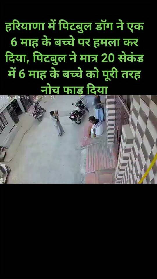 हरियाणा में पिटबुल डॉग ने एक 6 माह के बच्चे पर हमला कर दिया, पिटबुल ने मात्र 20 सेकंड में 6 माह के बच्चे को पूरी तरह नोच फाड़ दिया।वीडियो में देखने लायक बात है कि पिटबुल बच्चे को नोच रहा था और पिटबुल का मालिक आराम से खड़ा था कोई खास प्रयास नहीं कर रहा था बच्चे को छुड़ाने के लिए।इसलिए मैं हमेशा कहता हूं कुत्ता और कुत्ता पालने वाले समान ही सोच के लोग होते है
100% असामाजिक और मानसिक रूप से कुंठित होते है...