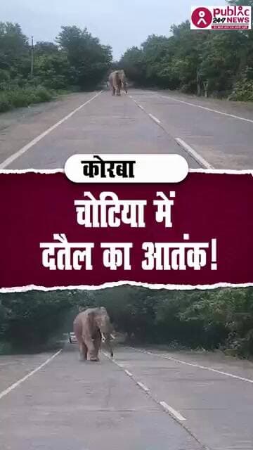 चोटिया में दंतैल का आतंक! VIDEO बनाने पहुंची भीड़ पर दौड़ा हाथी