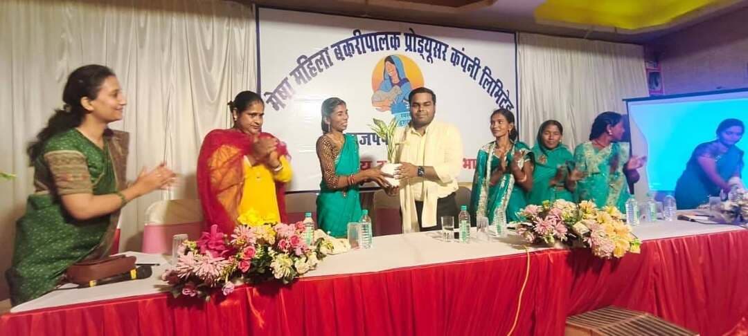 बकरी पालन से महिलाएं हो रही है आर्थिक रूप से सशक्त
मेषा महिला बकरीपालक प्रोड्यूसर कंपनी लिमिटेड की तीसरी वार्षिक आमसभा में दिखा उत्साह
मुजफ्फरपुर
ग्रामीण विकास विभाग के तहत संचालित जीविका आज महिलाओं क़ो आर्थिक और सामाजिक रूप से सशक्त करने का एक क्रन्तिकारी अभियान बन गया है. जीविका से जुड़कर महिलाएं आर्थिक रूप से सशक्त तो हो ही रही है साथ ही समाज में अपना नाम भी रोशन कर रही है. बकरी पालन के जरिए आज महिलाएं आत्मनिर्भर बन रही हैं. सरकार के विभिन्न योजनाओं से जोड़कर पशु सखियों और बकरी पलकों को विशेष सुविधा मुहैया करने की कोशिश की जाएगी. उक्त बातें असिस्टेंट कलेक्टर सौरभ सिन्हा ने मेषा एफपीसी की तीसरी वार्षिक आमसभा में दीदियों को संबोधित करते हुए खबड़ा के एक निजी होटल में कहा. इससे पहले मेषा की सीईओ खुशबू कुमारी और अध्यक्ष कृष्णा कुमारी ने सभी अतिथियों को पौधा और शॉल देकर सम्मानित किया. इस अवसर पर जीविका डीपीएम अनीशा ने कंपनी की अब तक की उपलब्धियो के लिए सभी को बधाई दी. कार्यक्रम में उपस्थित डीडीएम नाबार्ड सुमन प्रभा ने भी नाबार्ड से जुड़ी योजनाओं की जानकारी दीदियों के बीच रखी. कार्यक्रम में जैविक उत्पादों के साथ ही पशुपालकों के लिए हर्बल दवाओं के साथ ही अन्य गतिविधियों की भी स्टॉल लगाई गई थी. जिसका अवलोकन मुख्य अतिथि द्वारा किया गया. इस अवसर पर संचार प्रबंधक राजीव रंजन, पंकज कुमार, नूरी जमाल,रोशन कुमार, शोभा शाव, नवनीत कुमार, प्रसून कुमार, राहुल कुमार, डॉ सरोज,गुंजना कुमारी सहित सैकड़ो दिदिया उपस्थित रही।
Information & Public Relations Department, Government of Bihar
JEEVIKA Bihar