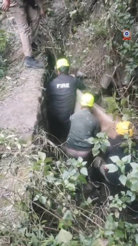 🚨 मानवता और सेवा का मिसाल: फायर सर्विस ने बचाई गाय की जान! 🚨
टहिया पुल (विष्णुप्रयाग) के पास एक गाय के गहरे गड्ढे में फंसे होने की सूचना मिलते ही फायर स्टेशन ज्योतिर्मठ की फायर रेस्क्यू यूनिट ने बिना समय गंवाए मौके पर पहुंचकर त्वरित रेस्क्यू अभियान शुरू किया।
कठिन परिस्थितियों और घंटों की कड़ी मशक्कत के बाद, टीम ने रोप (रस्सी) की सहायता से गाय को सुरक्षित बाहर निकाल लिया।👏🚒
#UttarakhandPolice #FireService #RescueOperation #Jyotirmath #AnimalRescue