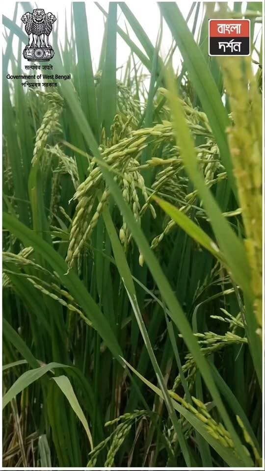 কৃষকের হাতে সহায়তা, চোখে স্বপ্ন! PM কিষানে বদলের কাহিনি, বড়ঞা ব্লকের ‘সেবা সংকল্প’
#burwan #SevaSankalpAbhiyan #সেবাসংকল্পঅভিযান #BiksitBharat2047 #বিকশিতভারত২০৪৭ #MurshidabadDistrict #মু্র্শিদাবাদজেলা #WestBengal #পশ্চিমবঙ্গ #dmmurshidabad #icdepertmentwb #cmowestbengal #hmoindia #pmoindia #BJPGovernment #murshidabad #burwan #bangladrashan #murshidabad #WestBengal