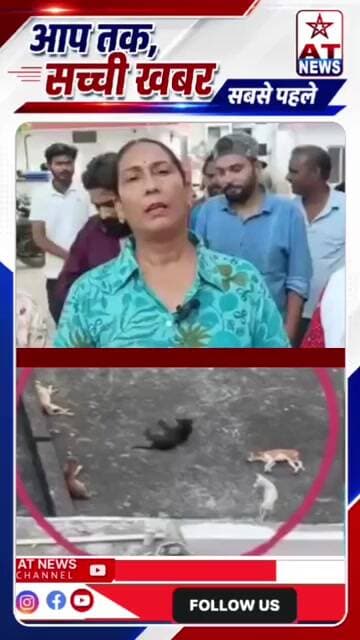 ATNEWS | अलीगढ़ के अल्ला वाली कोठी, दोधपुर पशु क्रूरता का वीडियो #aligarhnews #aligarh # #atnews