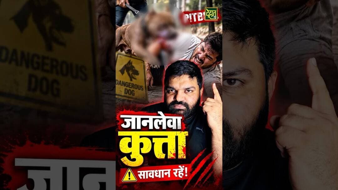 क्या आप इस नस्ल के कुत्ते से सावधान हैं? #PitbullAttack #DehatAdda #ViralNews #Sonipat #breakingnews