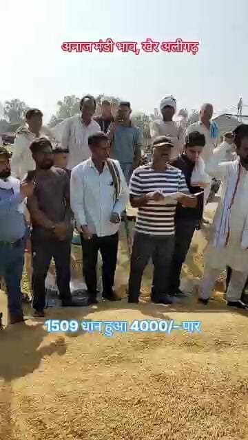 1509 धान हुआ 4000/- पार / अनाज मंडी भाव खैर अलीगढ़