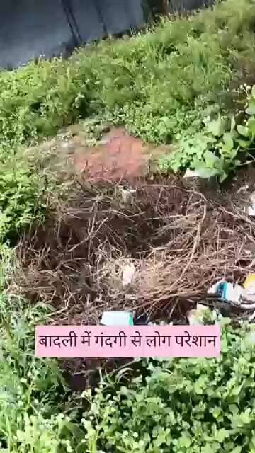 बादली में गंदगी से लोग परेशान। प्रशासन बेखबर। #badli #gandgi #gramin #gulia #times