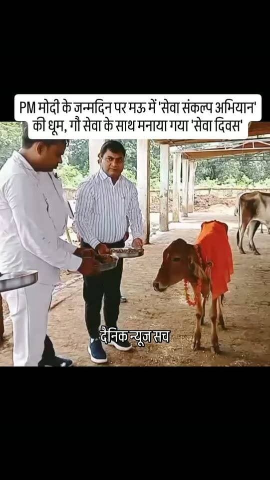 PM मोदी के जन्मदिन पर मऊ में 'सेवा संकल्प अभियान' की धूम, गौ सेवा के साथ मनाया गया 'सेवा दिवस'
#dainiknewssach #viralvideo #trendingreels #facebook #trending