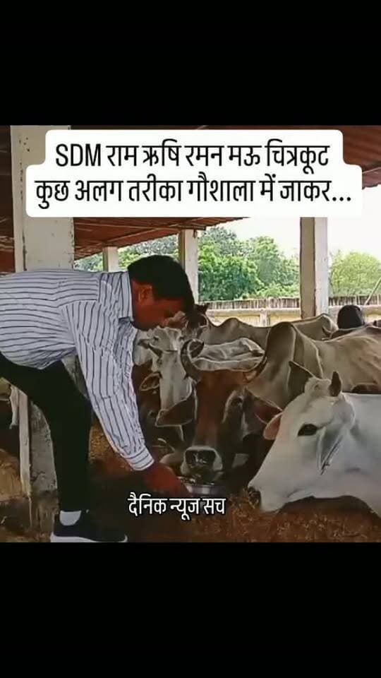 SDM राम ऋषि रमन मऊ चित्रकूट
कुछ अलग तरीका गौशाला में जाकर... #dainiknewssach #viralvideo #trendingreels #facebook #shorts