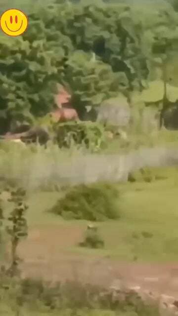 ЁЯЯе рддрд▓рд╛рд╢ рдиреНрдпреВрдЬ рд╕реАрдзреА
ЁЯШн рдЧрдгреЗрд╢ рдЙрддреНрд╕рд╡ рдХреЗ рдмреАрдЪ рдкрдзрд╛рд░реЗ тАЬрдЧрдгреЗрд╢ рд╕реНрд╡рд░реВрдктАЭ рд╣рд╛рдерд┐рдпреЛрдВ рдХреА рджрд░реНрджрдирд╛рдХ рд╡рд┐рджрд╛рдИ!
тЪб рдорд▓рдХрдкреБрд░ рдореЗрдВ рдХрд░рдВрдЯ рд╕реЗ рджреЛ рд╣рд╛рдерд┐рдпреЛрдВ рдХреА рдореМрдд, рд╡рди рд╡рд┐рднрд╛рдЧ рдХреА рд▓рд╛рдкрд░рд╡рд╛рд╣реА рдкрд░ рдЙрдареЗ рд╕рд╡рд╛рд▓
рд╕реАрдзреАред рдЬрд┐рд▓реЗ рдХреЗ рдкрдЯрдкрд░рд╛ рдХреНрд╖реЗрддреНрд░ рд╕реЗ рдХреБрдЫ рджреВрд░реА рдкрд░ рд╕реНрдерд┐рдд рдЧреНрд░рд╛рдо рдорд▓рдХрдкреБрд░ рдореЗрдВ рдПрдХ рдмреЗрд╣рдж рджреБрдЦрдж рдФрд░ рдЖрдХреНрд░реЛрд╢рд┐рдд рдХрд░рдиреЗ рд╡рд╛рд▓реА рдШрдЯрдирд╛ рд╕рд╛рдордиреЗ рдЖрдИ рд╣реИред рдмреАрддреА рд░рд╛рдд рдЧрд╛рдВрд╡ рдореЗрдВ рдкрд╣реБрдВрдЪреЗ рджреЛ рдЬрдВрдЧрд▓реА рд╣рд╛рдерд┐рдпреЛрдВ рдХреА рдЖрдЬ рддрдбрд╝рдХреЗ рд▓рдЧрднрдЧ 4 рдмрдЬреЗ рдХрд░рдВрдЯ рд▓рдЧрдиреЗ рд╕реЗ рдореМрдХреЗ рдкрд░ рд╣реА рджрд░реНрджрдирд╛рдХ рдореМрдд рд╣реЛ рдЧрдИред рдЗрд╕ рдШрдЯрдирд╛ рд╕реЗ рдкреВрд░реЗ рдХреНрд╖реЗрддреНрд░ рдореЗрдВ рд╢реЛрдХ рдФрд░ рдЧреБрд╕реНрд╕реЗ рдХрд╛ рдорд╛рд╣реМрд▓ рд╣реИред
рдЧреНрд░рд╛рдореАрдгреЛрдВ рдХреЗ рдЕрдиреБрд╕рд╛рд░, рд╣рд╛рдерд┐рдпреЛрдВ рдХреА рдЧрддрд┐рд╡рд┐рдзрд┐ рд░рд╛рдд рдореЗрдВ рд╣реА рджреЗрдЦреА рдЬрд╛ рдЪреБрдХреА рдереА, рд▓реЗрдХрд┐рди рдЗрд╕рдХреЗ рдмрд╛рд╡рдЬреВрдж рд╡рди рд╡рд┐рднрд╛рдЧ рдХреА рдУрд░ рд╕реЗ рдХреЛрдИ рдареЛрд╕ рдХрд╛рд░реНрд░рд╡рд╛рдИ рдпрд╛ рд╕рддрд░реНрдХрддрд╛ рдирд╣реАрдВ рдмрд░рддреА рдЧрдИред рд╕реБрдмрд╣ рдЬрдм рд▓реЛрдЧ рдШрдЯрдирд╛рд╕реНрдерд▓ рдкрд░ рдкрд╣реБрдВрдЪреЗ рддреЛ рджреЛрдиреЛрдВ рд╣рд╛рдереА рдореГрдд рдЕрд╡рд╕реНрдерд╛ рдореЗрдВ рдкрдбрд╝реЗ рдорд┐рд▓реЗред рд╣реИрд░рд╛рдиреА рдХреА рдмрд╛рдд рдпрд╣ рд░рд╣реА рдХрд┐ рдШрдЯрдирд╛ рдХреЗ рдХрд╛рдлреА рджреЗрд░ рдмрд╛рдж рддрдХ рднреА рдХреЛрдИ рдкреНрд░рд╢рд╛рд╕рдирд┐рдХ рдпрд╛ рд╡рди рдЕрдорд▓рд╛ рдореМрдХреЗ рдкрд░ рдирд╣реАрдВ рдкрд╣реБрдВрдЪрд╛ред
ЁЯСЙ рдпрд╣ рдШрдЯрдирд╛ рд╕реАрдзреЗ рддреМрд░ рдкрд░ рд╡рди рд╡рд┐рднрд╛рдЧ рдХреА рдХрд╛рд░реНрдпрдкреНрд░рдгрд╛рд▓реА рдкрд░ рд╕рд╡рд╛рд▓ рдЦрдбрд╝реЗ рдХрд░рддреА рд╣реИред
рдЬрдм рд╣рд╛рдерд┐рдпреЛрдВ рдХреА рдореВрд╡рдореЗрдВрдЯ рдкрд╣рд▓реЗ рд╕реЗ рдереА, рддреЛ рдЙрдирдХреА рдЯреНрд░реИрдХрд┐рдВрдЧ рдФрд░ рд╕реБрд░рдХреНрд╖рд╛ рдХреЗ рд▓рд┐рдП рдЬрд░реВрд░реА рдХрджрдо рдХреНрдпреЛрдВ рдирд╣реАрдВ рдЙрдард╛рдП рдЧрдП?
рдХреНрдпрд╛ рд╡рдиреНрдпрдЬреАрд╡реЛрдВ рдХреА рд╕реБрд░рдХреНрд╖рд╛ рдХреЗрд╡рд▓ рдХрд╛рдЧрдЬреЛрдВ рдФрд░ рджрд╛рд╡реЛрдВ рддрдХ рд╕реАрдорд┐рдд рд░рд╣ рдЧрдИ рд╣реИ?
рд╕реНрдерд╛рдиреАрдп рд▓реЛрдЧреЛрдВ рдореЗрдВ рднрд╛рд░реА рдЖрдХреНрд░реЛрд╢ рд╣реИ рдФрд░ рдЙрдиреНрд╣реЛрдВрдиреЗ рдЗрд╕ рдорд╛рдорд▓реЗ рдХреА рдЙрдЪреНрдЪ рд╕реНрддрд░реАрдп рдЬрд╛рдВрдЪ рдХреА рдорд╛рдВрдЧ рдХреА рд╣реИред рд╕рд╛рде рд╣реА рджреЛрд╖реА рдЕрдзрд┐рдХрд╛рд░рд┐рдпреЛрдВ рдкрд░ рд╕рдЦреНрдд рдХрд╛рд░реНрд░рд╡рд╛рдИ рдФрд░ рднрд╡рд┐рд╖реНрдп рдореЗрдВ рдРрд╕реА рдШрдЯрдирд╛рдУрдВ рдХреА рдкреБрдирд░рд╛рд╡реГрддреНрддрд┐ рд░реЛрдХрдиреЗ рдХреЗ рд▓рд┐рдП рдареЛрд╕ рд╡реНрдпрд╡рд╕реНрдерд╛ рдмрдирд╛рдиреЗ рдХреА рдорд╛рдВрдЧ рдЙрдард╛рдИ рдЬрд╛ рд░рд╣реА рд╣реИред
тЪая╕П рд╡рдиреНрдпрдЬреАрд╡ рд╕рд┐рд░реНрдл рдЬрдВрдЧрд▓реЛрдВ рдХреА рдирд╣реАрдВ, рд╣рдорд╛рд░реА рдзрд░реЛрд╣рд░ рд╣реИрдВ тАФ рдЙрдирдХреА рд╕реБрд░рдХреНрд╖рд╛ рд╣рдорд╛рд░реА рд╕рд╛рдореВрд╣рд┐рдХ рдЬрд┐рдореНрдореЗрджрд╛рд░реА рд╣реИред
ЁЯУН рдЧреНрд░рд╛рдо рдорд▓рдХрдкреБрд░, рдЬрд┐рд▓рд╛ рд╕реАрдзреА
ЁЯУ░ рддрд▓рд╛рд╢ рдиреНрдпреВрдЬ рдЯреАрдо
ЁЯУМ рдПрдХ рд╢реЗрдпрд░ рдЬрд░реВрд░ рдХрд░реЗрдВ тАФ рддрд╛рдХрд┐ рдЬрд┐рдореНрдореЗрджрд╛рд░реЛрдВ рддрдХ рдпрд╣ рдЖрд╡рд╛рдЬ рдкрд╣реБрдВрдЪреЗ
#рддрд▓рд╛рд╢_рдиреНрдпреВрдЬ #рд╕реАрдзреА #рдорд▓рдХрдкреБрд░ #рд╣рд╛рдереА_рдореМрдд #рд╡рди_рд╡рд┐рднрд╛рдЧ #BreakingNews #WildlifeProtection #MadhyaPradeshNews