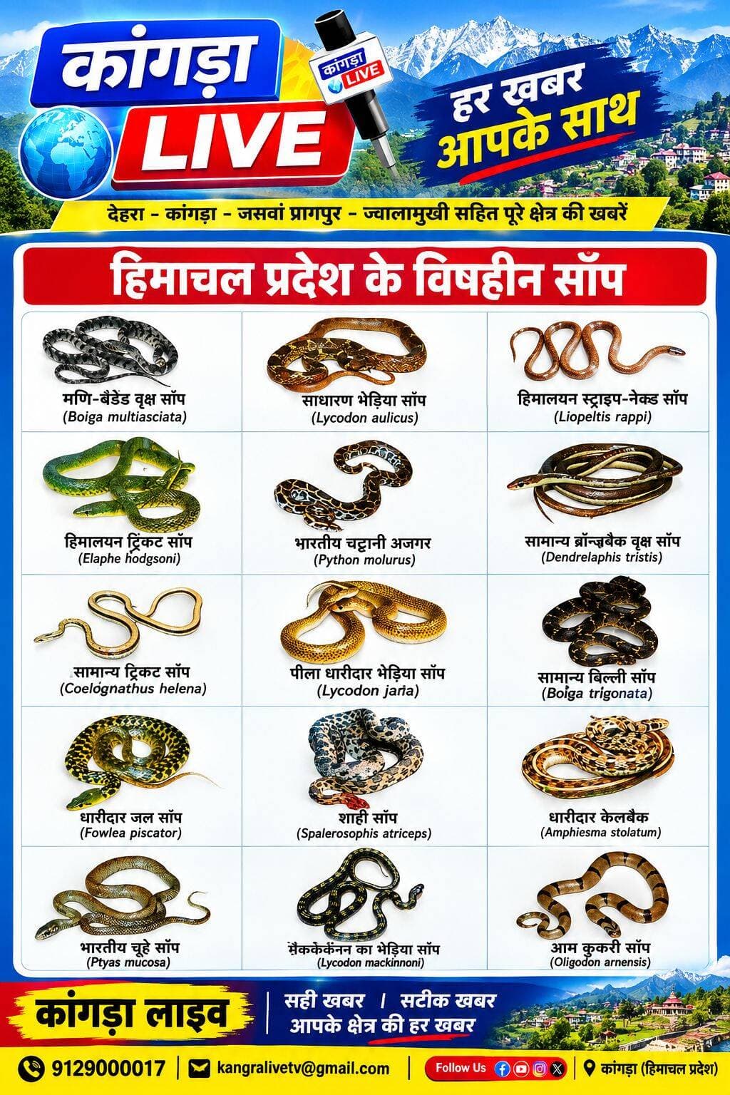 जरूरी सूचना, जानकारी शेयर करें <nis:link nis:type=tag nis:id=kangralive nis:value=kangralive nis:enabled=true nis:link/>