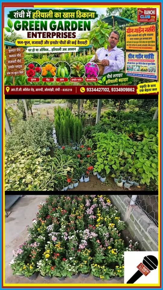 रांची में हरियाली का खास ठिकाना ! Green Garden Enterprises | Flower & Fruit Plants | Ranchi News
#GreenGardenEnterprises #GreenGardenNursery #Ranchi #RanchiNursery #NurseryRanchi