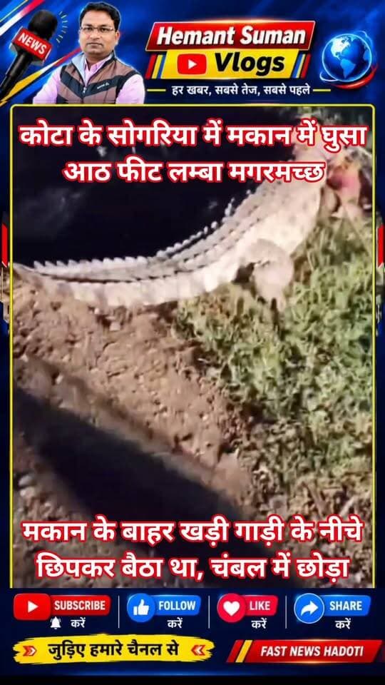कोटा के सोगरिया में मकान में घुसा आठ फीट लम्बा मगरमच्छ
मकान के बाहर खड़ी गाड़ी के नीचे छिपकर बैठा था, चंबल में छोड़ा
कोटा के सोगरिया गांव में एक मकान के अंदर करीब 8 फीट लंबा मगरमच्छ घुस आने से हड़कंप मच गया। मगरमच्छ मकान के बाहर खड़ी गाड़ी के नीचे छिपकर बैठा था। परिवार की नजर जब उस पर पड़ी तो तुरंत रेस्क्यू टीम को सूचना दी गई।
सूचना मिलते ही वीरेंद्र सिंह अपनी टीम के साथ मौके पर पहुंचे। टीम ने आसपास के लोगों को दूर किया और सावधानी के साथ मगरमच्छ को पकड़ने का रेस्क्यू ऑपरेशन शुरू किया। काफी मशक्कत के बाद करीब 50 किलो वजनी मगरमच्छ को सुरक्षित तरीके से पकड़ लिया गया। रेस्क्यू के बाद वीरेंद्र सिंह और उनकी टीम मगरमच्छ को सुरक्षित चंबल नदी के क्षेत्र में लेकर पहुंची, जहां उसे पानी में छोड़ दिया गया। बताया जा रहा है कि वीरेंद्र सिंह इससे पहले भी कई मगरमच्छों का रेस्क्यू कर चुके हैं और ऐसे मामलों में उन्हें अच्छा अनुभव है।