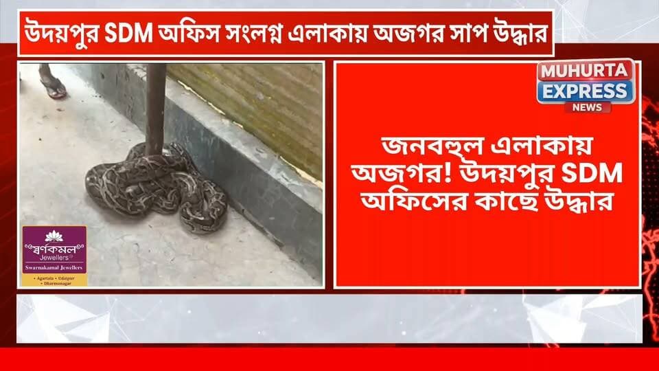 জনবহুল উদয়পুর SDM অফিস সংলগ্ন এলাকায় অজগর সা প, পরে উদ্ধার করা হয় সা প টি...