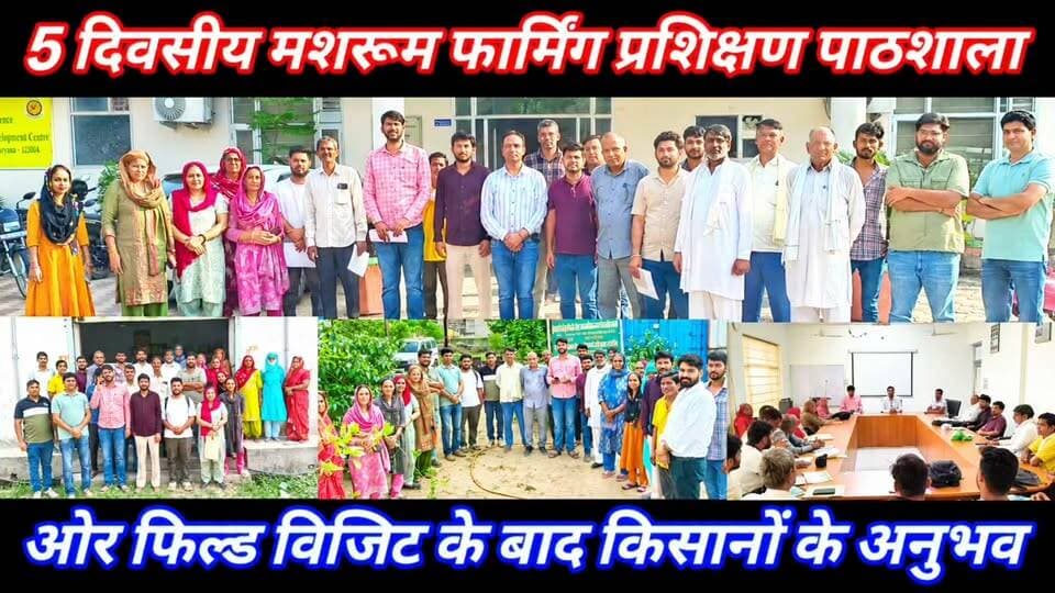 Mushroom Farming की 5 दिवसीय ट्रेनिंग #तकनीक से खेती करने पर ही किसानों की आय बढ़ना सम्भव