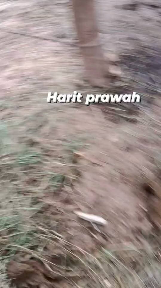 सीधी के बहरी में गाय के साथ क्रूरता वीडियो वायरल , पृरुष और महिला पर गंभीर आरोप