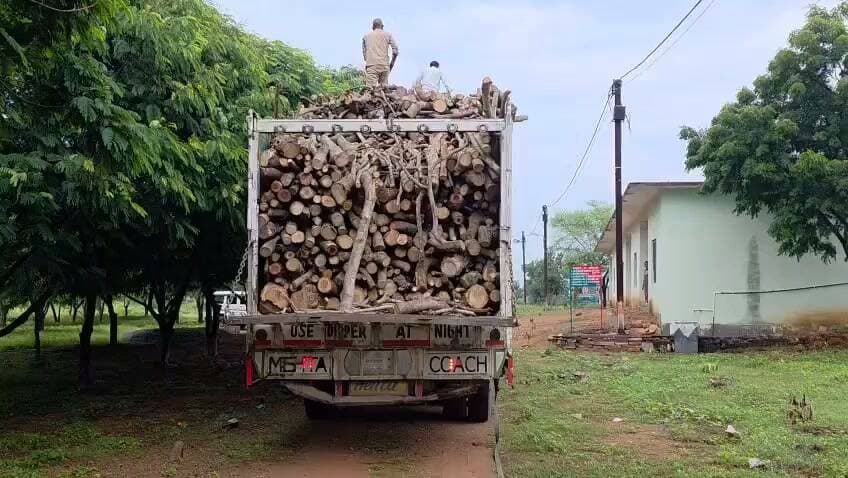 करैरा रेंजर लक्ष्मण मीणा की कार्रवाई, अवैध लकड़ी से भरा ट्रक पकड़ा
करैरा। अवैध लकड़ी के परिवहन के खिलाफ करैरा वन विभाग ने कार्रवाई करते हुए दिनारा-पिछोर मार्ग पर डामरौन के पास एक ट्रक को पकड़कर जब्त किया है। वन विभाग को मुखबिर से सूचना मिली थी कि एक ट्रक में अवैध रूप से लकड़ी का परिवहन किया जा रहा है।
सूचना मिलते ही करैरा रेंजर लक्ष्मण मीणा के नेतृत्व में वन विभाग की टीम मौके पर पहुंची और संदिग्ध ट्रक को रोककर जांच की। जांच के दौरान ट्रक में लकड़ी का परिवहन पाया गया, जिसके बाद वन विभाग ने वाहन को जब्त कर लिया। प्रारंभिक जानकारी के अनुसार पकड़ा गया ट्रक हरियाणा पासिंग का बताया जा रहा है।
कार्रवाई के दौरान रेंजर लक्ष्मण मीणा के साथ डिप्टी रेंजर कुलदीप गौर सहित वन विभाग की टीम मौजूद रही। विभाग द्वारा जब्त लकड़ी के स्रोत, परिवहन से संबंधित दस्तावेजों और अन्य बिंदुओं की जांच की जा रही है।
वन विभाग ने मामले में प्रकरण दर्ज कर वैधानिक कार्रवाई शुरू कर दी है। अधिकारियों के अनुसार जांच पूरी होने के बाद मामले में आगे की कार्रवाई की जाएगी।
P.NEWZ INDIA | पत्रकार राम मनोहर मिश्रा
सच के साथ हर कदम
