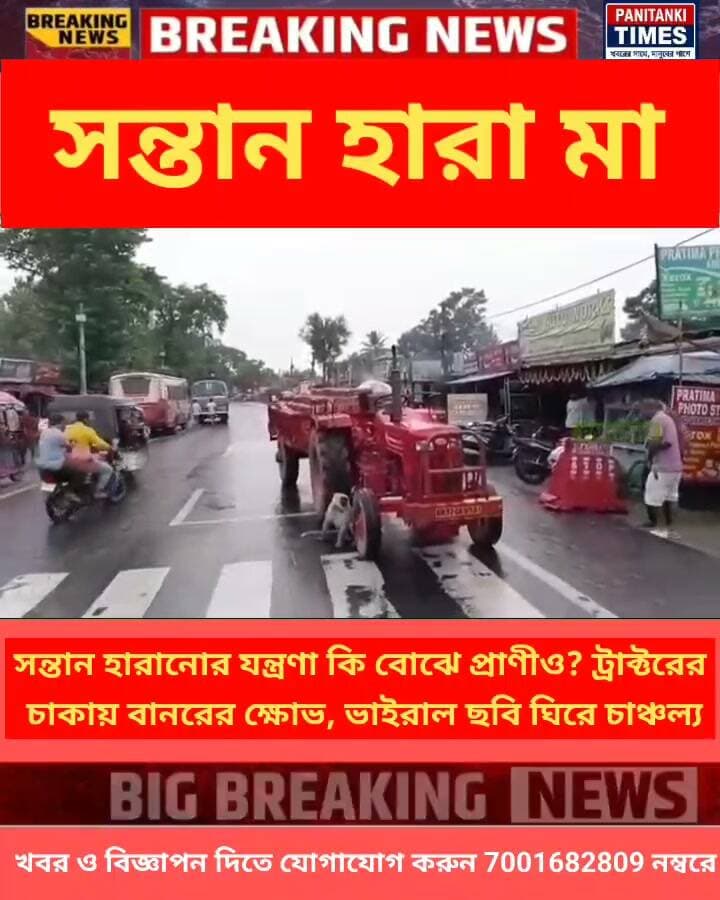 সন্তান হারানোর যন্ত্রণা কি বোঝে প্রাণীও? ট্রাক্টরের চাকায় বানরের ক্ষোভ, ভাইরাল ছবি ঘিরে চাঞ্চল্য।
#LatestNews #viralpost #ViralVideo #everyone #allfollowers #SuvenduAdhikari #raveenatandon #fitnesstransformation #sharemarket #streetstyle #urvashirautela #TMC #BobbyDeol