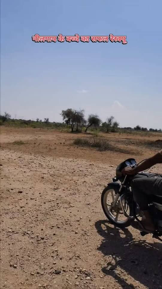 News video thumbnail