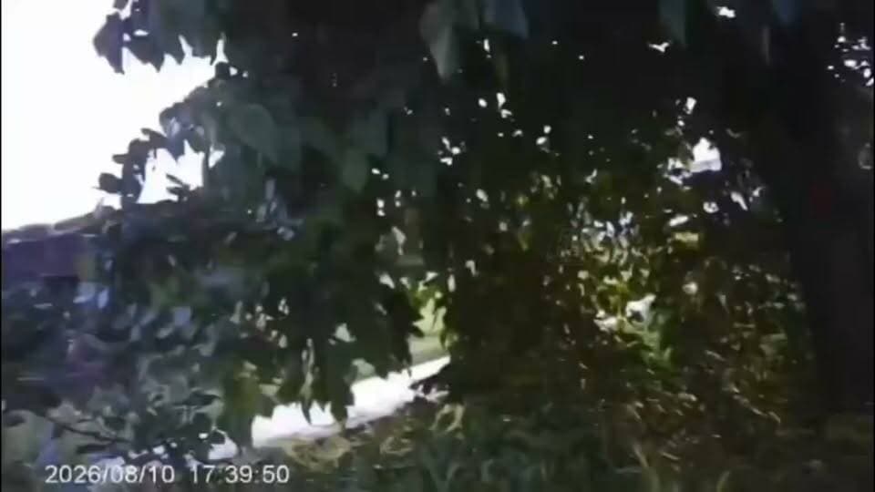 रानीपुर ब्लॉक क्षेत्र में घूसखोरी पर बड़ा खुलासा: सरसेना के लेखपाल अविनाश सिंह का वीडियो वायरल, एसडीएम से शिकायत के बाद मचा हड़कंप
(मऊ):तहसील मुहम्मदाबाद गोहना रानीपुर ब्लॉक क्षेत्र के ग्राम सभा सरसेना में तैनात राजस्व लेखपाल अविनाश सिंह पर घूसखोरी और अवैध वसूली के गंभीर आरोपों के बीच अब सोशल मीडिया पर वीडियो वायरल होने से हड़कंप मच गया है। ग्राम सरसेना (परगना चिरैयाकोट) निवासी पीड़ित विपिन सिंह पुत्र हरिश्चंद्र सिंह ने उपजिलाधिकारी (SDM) को साक्ष्यों के साथ शिकायती पत्र सौंपकर दोषी लेखपाल के खिलाफ सख्त कानूनी और दंडात्मक कार्रवाई की मांग की है।
3 हजार में रिपोर्ट, 10 हजार में पैमाइश: रिश्वत की तय रेट लिस्ट!
पीड़ित विपिन सिंह का आरोप है कि क्षेत्रीय लेखपाल अविनाश सिंह बिना सुविधानुशुल्क लिए सरकारी फाइलों को हाथ भी नहीं लगाते। पीड़ित के अनुसार, किसी सामान्य रिपोर्ट को लगाने के नाम पर 3,000 रुपये और जमीन की पैमाइश (नापी) कराने के एवज में 10,000 रुपये की सीधी मांग की गई। आरोप है कि राजस्व विभाग की इस खुलेआम धन उगाही से आम ग्रामीण बेबस और परेशान हैं।
डिजिटल सबूतों ने खोली पोल, वीडियो सोशल मीडिया पर वायरल
मामले ने तब तूल पकड़ा जब घूसखोरी से जुड़ा वीडियो और ऑडियो रिकॉर्डिंग सामने आई। पीड़ित का दावा है कि उनके पास लेखपाल द्वारा पैसे मांगने और सौदेबाजी करने का पुख्ता ऑडियो-वीडियो सबूत मौजूद है, जो अब तेजी से वायरल हो रहा है। डिजिटल साक्ष्य सार्वजनिक होने के बाद ग्राम सभा के ग्रामीणों में भारी आक्रोश व्याप्त है।
प्रशासनिक महकमे में हलचल, एंटी करप्शन जांच की मांग
शिकायतकर्ता और स्थानीय ग्रामीणों ने एसडीएम से मांग की है कि मामले की निष्पक्ष जांच कराई जाए और वायरल वीडियो व ऑडियो का संज्ञान लेते हुए दोषी लेखपाल के खिलाफ तत्काल मुकदमा दर्ज कर विभागीय कार्रवाई की जाए। अब देखना यह होगा कि मामले की गंभीरता को देखते हुए तहसील प्रशासन इस भ्रष्ट आचरण पर क्या सख्त रुख अपनाता है।