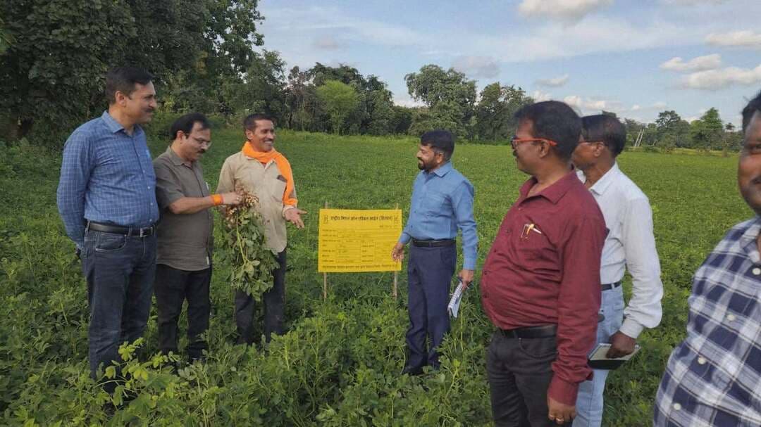 मुख्यमंत्री जन विश्वास अभियान के तहत कृषि अधिकारियों ने किया ग्रामों का भ्रमण
-
जतारा एवं पलेरा क्षेत्र में फसल प्रदर्शन, प्राकृतिक खेती केंद्र एवं कस्टम हायरिंग सेंटर का किया निरीक्षण
-
मुख्यमंत्री जन विश्वास अभियान के अंतर्गत कृषि विभाग द्वारा जिले के विभिन्न ग्रामों में किसानों के खेतों एवं कृषि गतिविधियों का निरीक्षण किया गया। इस दौरान भोपाल से पधारे अपर संचालक कृषि, बीज प्रमाणीकरण संस्था भोपाल श्री रेवा सिंह सिसोदिया ने जतारा एवं पलेरा विकासखंड के ग्रामों का भ्रमण कर किसानों से चर्चा की तथा कृषि कार्यों का अवलोकन किया।
भ्रमण के दौरान जतारा विकासखंड के ग्राम बेरवार में कृषक श्री तुलसीदास प्रजापति के खेत पर दलहन आत्मनिर्भर मिशन अंतर्गत लगाए गए उड़द समूह प्रदर्शन का निरीक्षण किया गया। यहां उड़द की आईपीयू-13-1 प्रजाति की फसल का अवलोकन किया गया। निरीक्षण के दौरान फसल में अच्छी फलियां एवं औसत से अधिक उत्पादन की संभावना बताई गई।
इसके बाद अपर संचालक कृषि श्री सिसोदिया एवं उपसंचालक कृषि टीकमगढ़ श्री मनोज कश्यप ने ग्राम लिधौरा ताल में कृषक श्री बालचंद्र अहिरवार द्वारा संचालित पलक प्राकृतिक खेती बीआरसी सेंटर का निरीक्षण किया। इस अवसर पर उपसंचालक कृषि ने बताया कि वर्ष 2025-26 में जिले में 17 बायो रिसोर्स सेंटर स्थापित किए गए हैं। उन्होंने बताया कि लिधौरा ताल स्थित बीआरसी सेंटर नियमित रूप से संचालित हो रहा है तथा जैव इनपुट के उत्पादन एवं वितरण की स्थिति संतोषजनक है। अधिकारियों ने केंद्र में उपलब्ध विभिन्न कृषि यंत्रों एवं संसाधनों का भी अवलोकन किया।
भ्रमण के अगले चरण में पलेरा विकासखंड के ग्राम दिनऊ में कृषक श्री रमेश यादव के खेत पर मूंगफली फसल प्रदर्शन का निरीक्षण किया गया। अधिकारियों ने फसल की स्थिति का अवलोकन करते हुए कृषक से उत्पादन एवं कृषि तकनीक संबंधी जानकारी ली।
इसके पश्चात ग्राम बेला में कृषि अभियांत्रिकी विभाग अंतर्गत संचालित कस्टम हायरिंग सेंटर का निरीक्षण किया गया। अधिकारियों द्वारा केंद्र में उपलब्ध कृषि यंत्रों की जानकारी ली गई तथा किसानों को कृषि यंत्रों के उचित संचालन एवं हैंडलिंग के संबंध में आवश्यक जानकारी दी गई।
भ्रमण के दौरान सहायक संचालक कृषि श्री ए.के. शर्मा, श्रीमती प्रतिभा दुबे, एसएडीओ श्री के.पी. अहिरवार, श्री आशीष गुप्ता, श्री दिलेश्वर, कृषि विस्तार अधिकारी श्री चेतन, श्री महेंद्र चौहान, श्री प्रशांत गोस्वामी सहित कृषि विभाग के अधिकारी-कर्मचारी उपस्थित रहे।
#JansamparkMP
#Jansamparktikamgarh
#tikamgarh