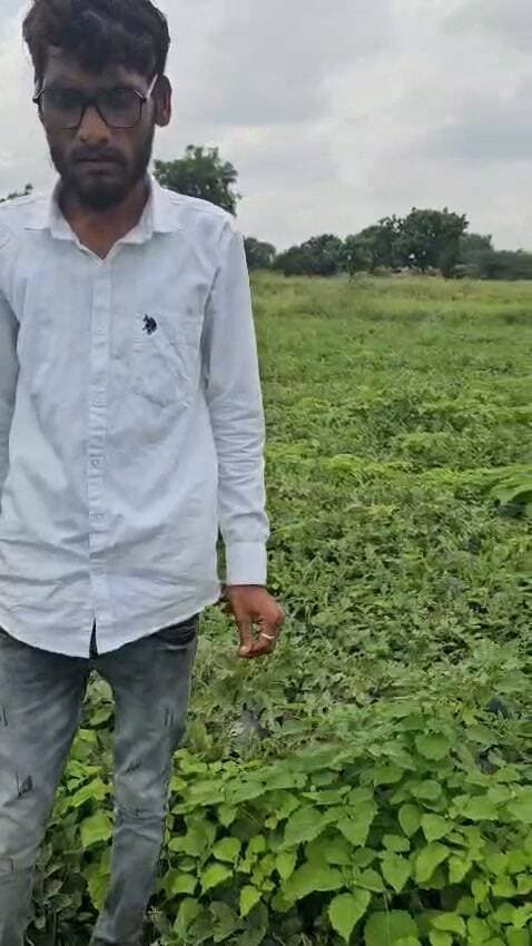 तरबूज की मुगम्बू Retro Seeds
#Maharashtra #तरबूज