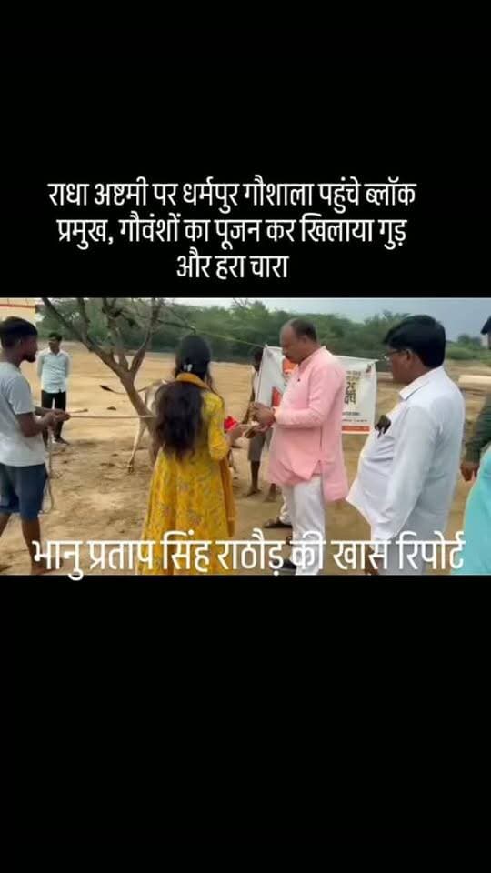#राधा अष्टमी पर धर्मपुर गौशाला पहुंचे ब्लॉक प्रमुख, गौवंशों का पूजन कर खिलाया गुड़ और हरा चारा