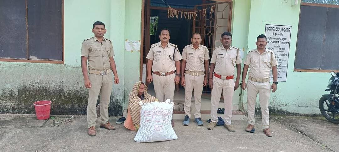 ବୌଦ୍ଧ ଅବକାରୀ ବିଭାଗ ପକ୍ଷରୁ ଗଂଜେଇ ସହ ମାଫିଆ ଗିରଫ