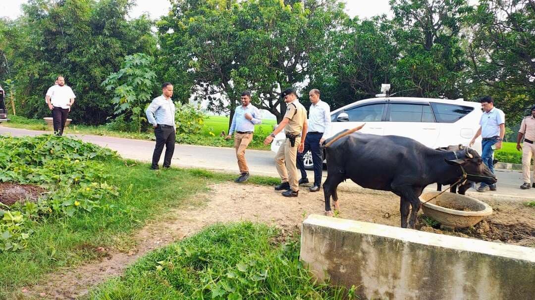 प्रधानमंत्री सूर्यघर मुफ्त बिजली योजना एवं ‘सेवा सेतु कैम्प’ का जिला पदाधिकारी ने किया निरीक्षण
आज दिनांक 19.09.2026 को जिला पदाधिकारी, लखीसराय द्वारा उप विकास आयुक्त, लखीसराय, विद्युत कार्यपालक अभियंता, विद्युत आपूर्ति प्रमंडल, लखीसराय एवं सहायक विद्युत अभियंता, विद्युत आपूर्ति अवर प्रमंडल, लखीसराय के साथ रामगढ़ चौक प्रखंड अंतर्गत ऊर्जा विभाग द्वारा संचालित ‘प्रधानमंत्री सूर्यघर मुफ्त बिजली योजना एवं सेवा सेतु कैम्प’ के तहत आयोजित शिविर एवं सोलर संयंत्रों का स्थल निरीक्षण किया गया।
निरीक्षण के क्रम में ग्राम रामगढ़ चौक निवासी श्री रंजीत कुमार, पिता-श्री गोपाल साव, उपभोक्ता संख्या-23710009739, श्रेणी-DS1D के परिसर में अधिष्ठापित 03 किलोवाट क्षमता के सोलर संयंत्र का निरीक्षण किया गया।
उपभोक्ता द्वारा बताया गया कि जनवरी 2026 से अब तक सोलर संयंत्र के माध्यम से कुल 3,079 यूनिट विद्युत ऊर्जा का उत्पादन किया गया है। इसके फलस्वरूप विगत महीनों में उनका विद्युत विपत्र शून्य प्राप्त हो रहा है।
उपभोक्ता ने बताया कि सोलर संयंत्र के अधिष्ठापन हेतु बैंक द्वारा सरल एवं कम दर पर ऋण उपलब्ध कराया गया तथा योजना के तहत सरकार द्वारा देय ₹78,000 की अनुदान राशि उनके बैंक खाते में प्राप्त हो चुकी है।
इस दौरान जिला पदाधिकारी द्वारा ऊर्जा विभाग के अधिकारियों को प्रधानमंत्री सूर्यघर मुफ्त बिजली योजना का व्यापक प्रचार-प्रसार एवं जन-जागरूकता अभियान चलाने का निर्देश दिया गया, ताकि अधिक से अधिक उपभोक्ता योजना का लाभ प्राप्त कर सकें।
विदित हो कि ऊर्जा विभाग द्वारा लखीसराय जिले के सभी 07 प्रखंडों में दिनांक 17.09.2026 से 17.10.2026 तक ‘सेवा सेतु कैम्प’ के तहत प्रधानमंत्री सूर्यघर मुफ्त बिजली योजना से संबंधित शिविर आयोजित किए जा रहे हैं।
इसी क्रम में रामगढ़ चौक प्रखंड में आयोजित शिविर का जिला पदाधिकारी द्वारा निरीक्षण किया गया। उन्होंने शिविर में प्राप्त आवेदनों की जानकारी ली तथा अधिक से अधिक लोगों को सोलर संयंत्र अधिष्ठापित कर योजना का लाभ लेने हेतु प्रेरित किया।
निरीक्षण के क्रम में प्रधानमंत्री सूर्यघर मुफ्त बिजली योजना के तहत ग्राम नारायणपुर, प्रखंड रामगढ़ चौक निवासी श्री अशोक मिस्त्री के परिसर में कुटीर ज्योति श्रेणी में अधिष्ठापित 1.1 किलोवाट क्षमता के सोलर संयंत्र का भी निरीक्षण किया गया।
जिला पदाधिकारी द्वारा उपभोक्ता से योजना के लाभ एवं उनके अनुभव के संबंध में जानकारी ली गई। उपभोक्ता ने योजना के प्रति प्रसन्नता व्यक्त करते हुए अन्य लोगों को भी सोलर संयंत्र अधिष्ठापित कर योजना का लाभ लेने की सलाह दी।
जिला पदाधिकारी ने संबंधित अधिकारियों को निर्देशित किया कि शिविरों के माध्यम से आमजनों को योजना की जानकारी उपलब्ध कराते हुए अधिक से अधिक पात्र उपभोक्ताओं को प्रधानमंत्री सूर्यघर मुफ्त बिजली योजना से जोड़ा जाए तथा आवेदन एवं संयंत्र अधिष्ठापन की प्रक्रिया में आवश्यक सहयोग प्रदान किया जाए।
#lakhisaraibihar
#SolarEnergy
#bihar
Information & Public Relations Department, Government of Bihar