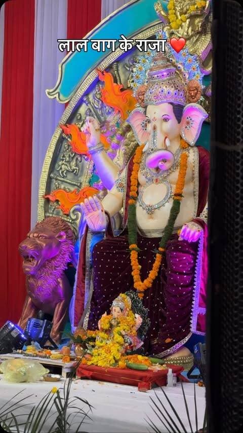 Laah baag ke Raja ЁЯЩПтЭдя╕П