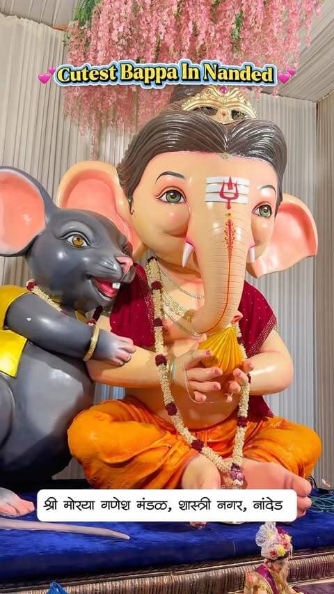 Cutest Bappa In Nanded ❤️🥰 -
.
.
#dspkitchen #nanded #cutebappa #nandedganpati #ganpatibappamorya