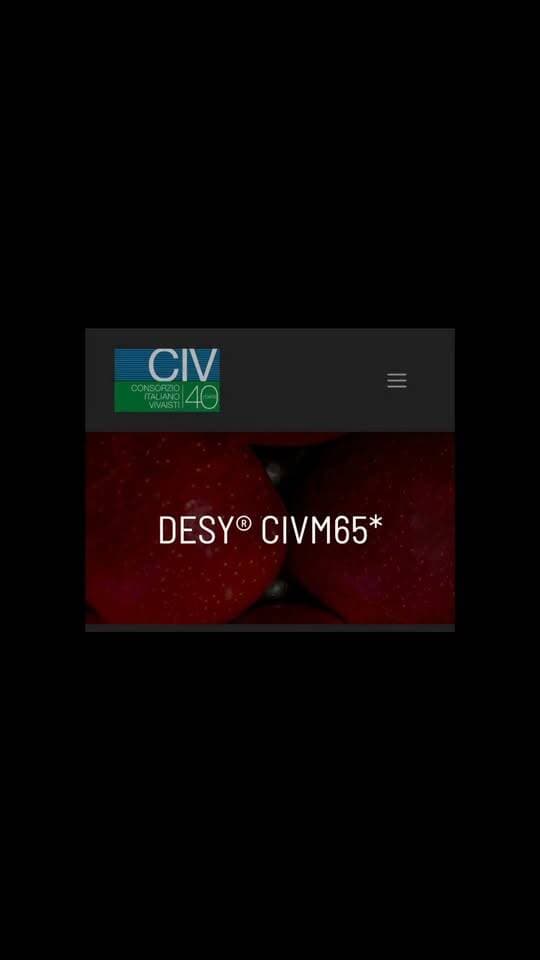News video thumbnail