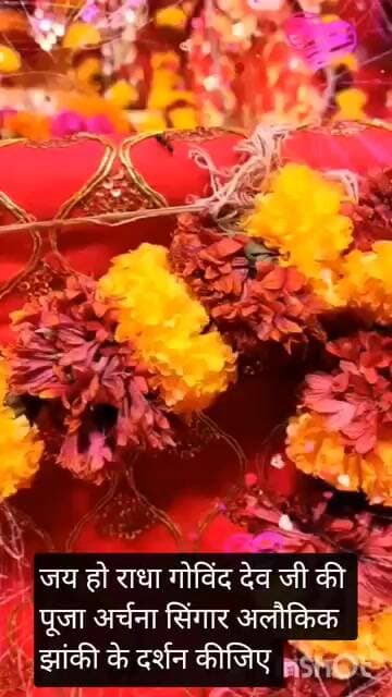 जय हो राधा गोविंद देव जी की पूजा अर्चना सिंगार अलौकिक झांकी के दर्शन कीजिए।
