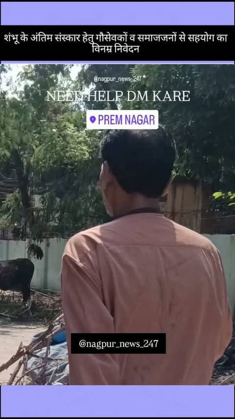शंभू के अंतिम संस्कार हेतु गौसेवकों व समाजजनों से सहयोग का विनम्र निवेदन
हमारे परिसर का वर्षों पुराना और सबका प्रिय शंभू नंदी अब हमारे बीच नहीं रहा। हम उसे श्रद्धापूर्वक और सम्मानजनक अंतिम विदाई देना चाहते हैं, लेकिन इस प्रक्रिया का हमें पर्याप्त अनुभव नहीं है।
यदि कोई गौसेवक, सामाजिक कार्यकर्ता, संस्था या अनुभवी व्यक्ति मार्गदर्शन एवं सहयोग कर सकता हो, तो कृपया आगे आएं। आपका छोटा सा सहयोग भी गौसेवा और मानवता के इस कार्य में अमूल्य होगा।
🙏 शंभू नंदी को श्रद्धांजलि सहयोग हेतु कृपया हमसे संपर्क करें।
#nagpurnews247 #nagpur #shambhu #gauseva
#nagpurnews
@shashankgattewar @ucnnewslive @ngpnews @lokmat_times @nagpur_samachar24 @dainikbhaskar_ngp @gauseva_foundation